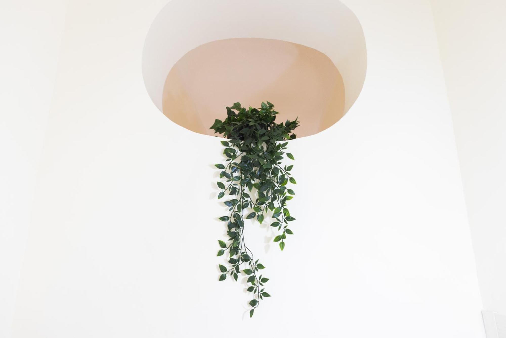Savia Home Катания Екстериор снимка
