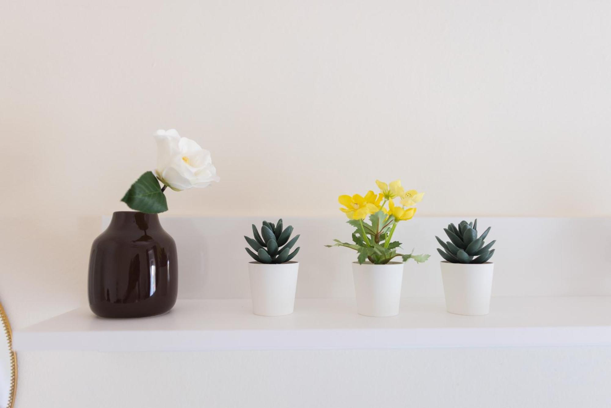 Savia Home Катания Екстериор снимка